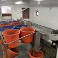 Extra picture for advert 148644