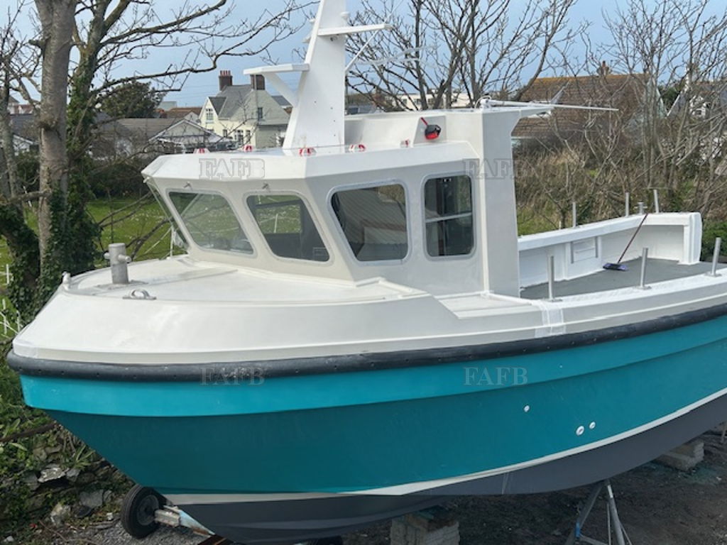 Cygnus Cyclone 30