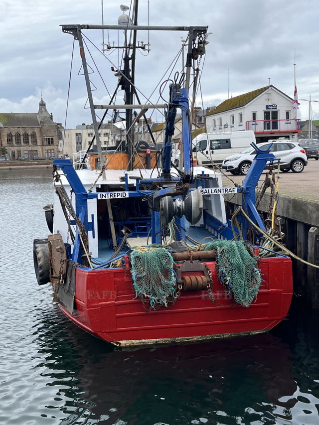 Large picture for advert 143646