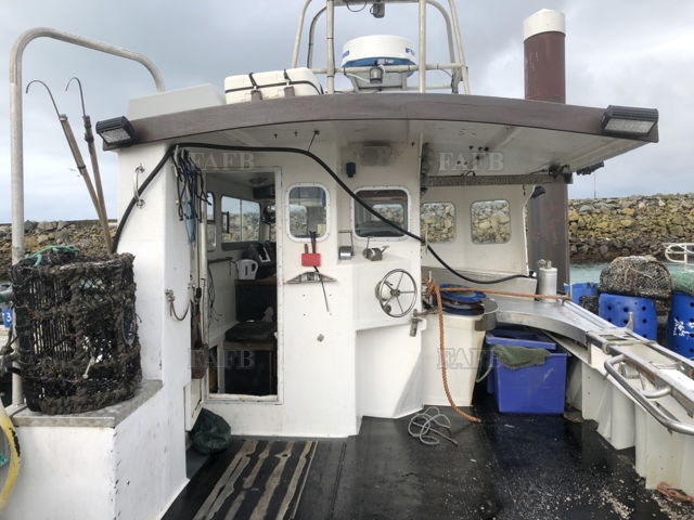 Large picture for advert 141648