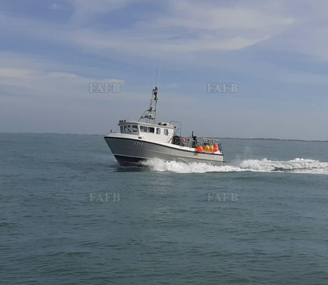 Large picture for advert 141648