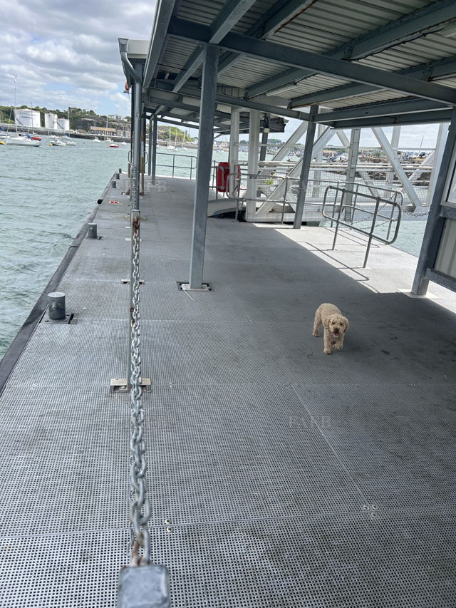 Large picture for advert 144648