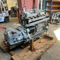 Extra picture for advert 146648