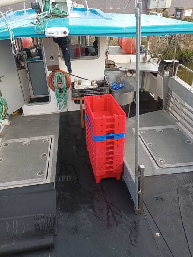 Large picture for advert 139065