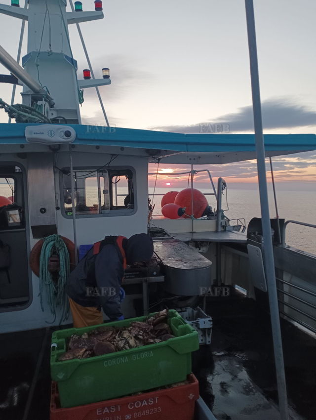 Large picture for advert 139065