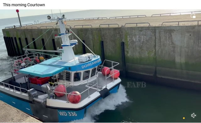 Large picture for advert 139065