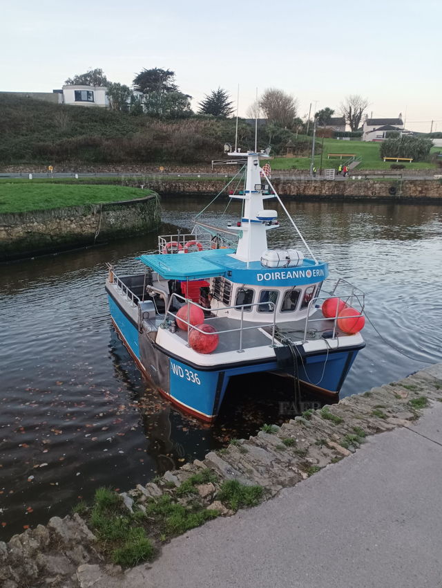 Large picture for advert 139065