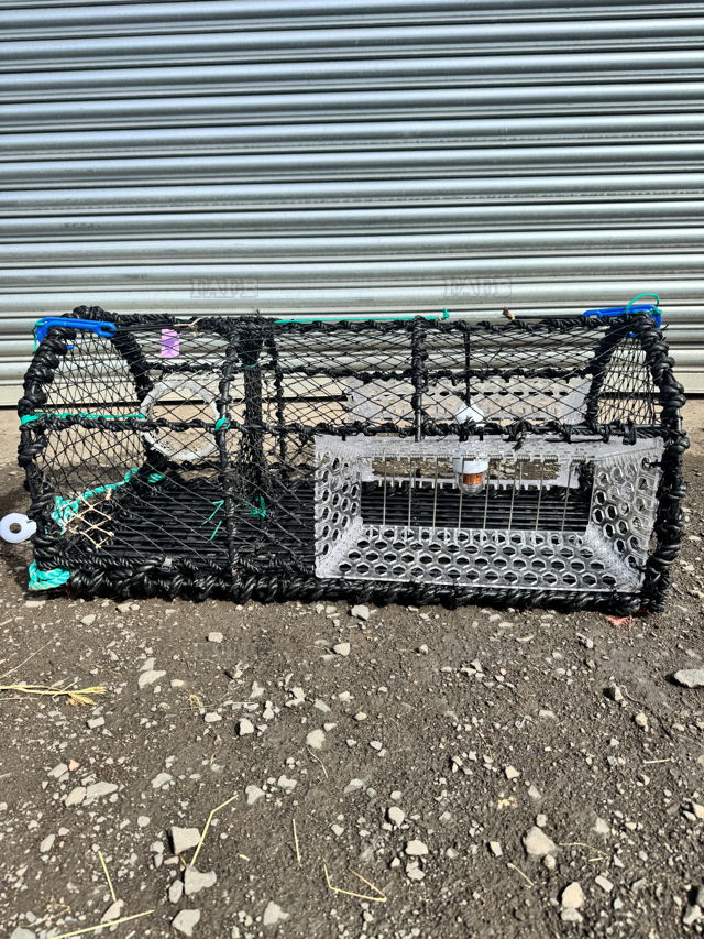 Large picture for advert 142065