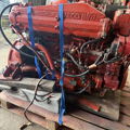 Extra picture for advert 146065