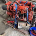 Extra picture for advert 146065