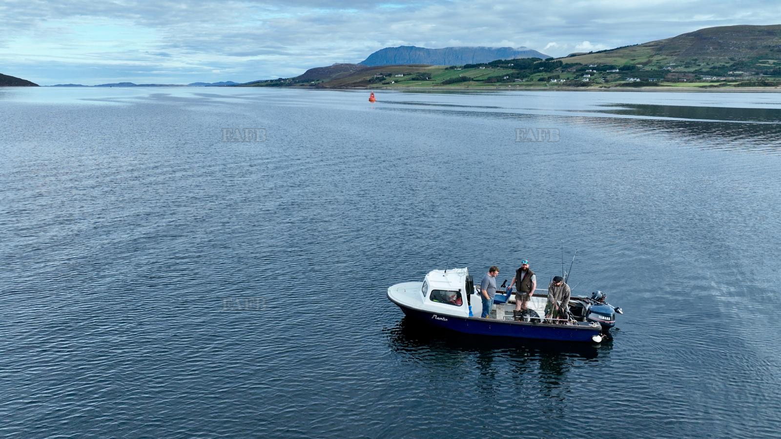 Large picture for advert 147650