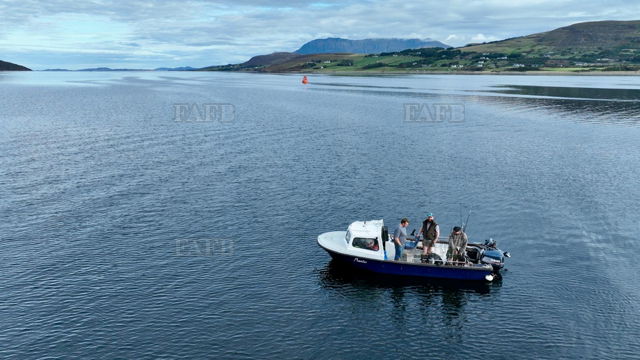 Large picture for advert 147650