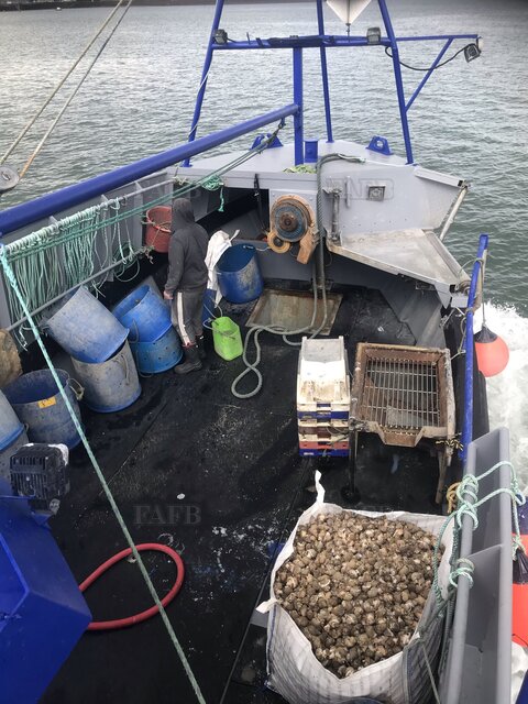 Large picture for advert 117650