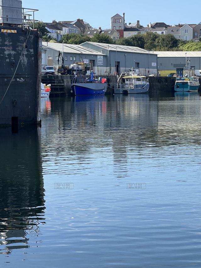 Large picture for advert 117650