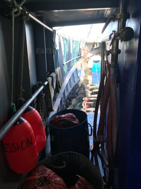 Large picture for advert 117650