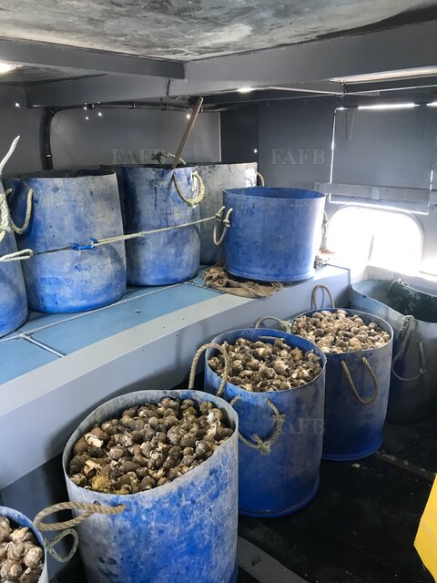 Large picture for advert 117650