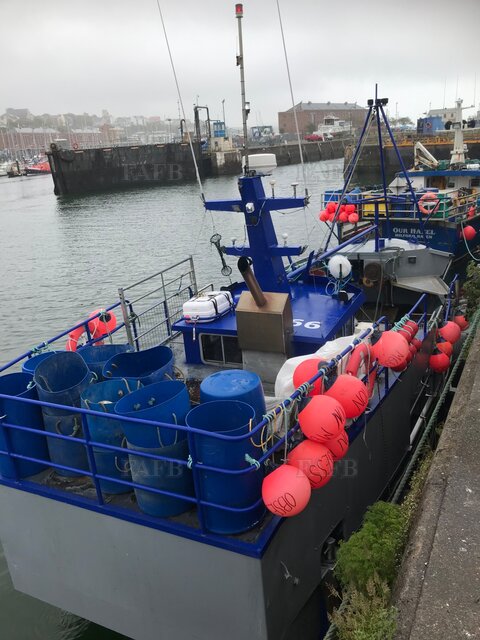 Large picture for advert 117650