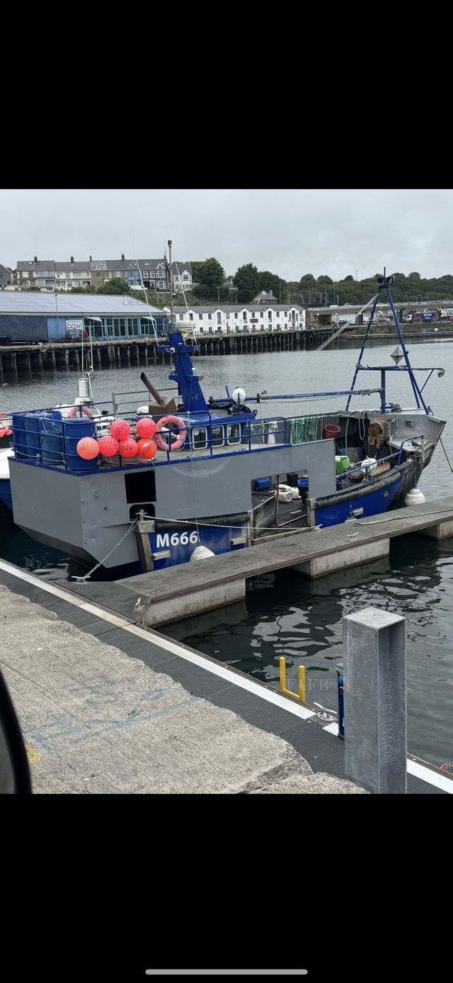 Large picture for advert 117650