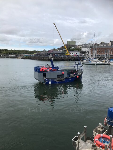 Large picture for advert 117650