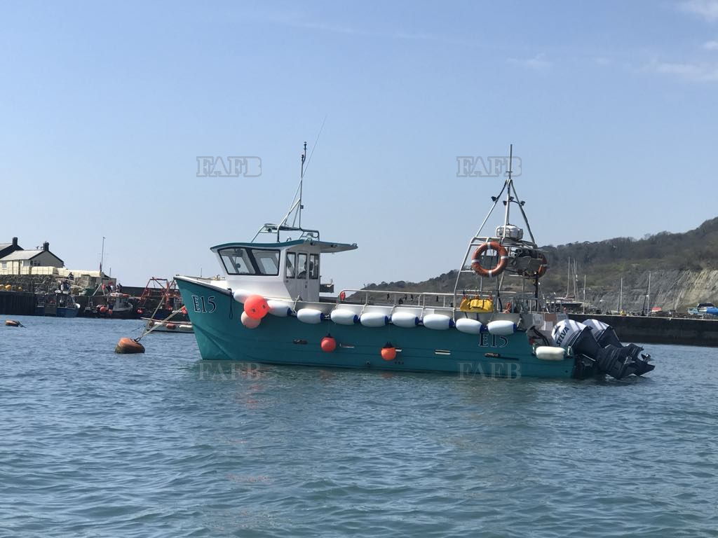 Twinsea Alaskan