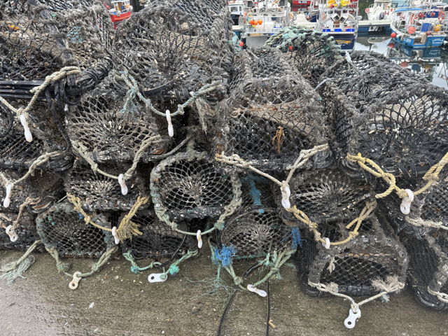 Large picture for advert 140651