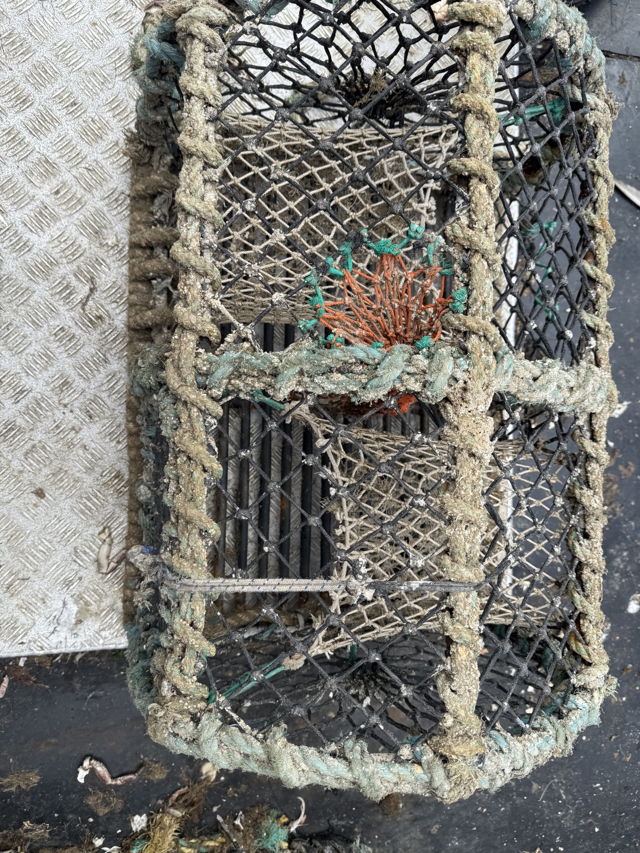 Large picture for advert 140651