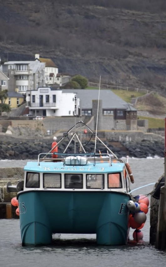 Large picture for advert 142651