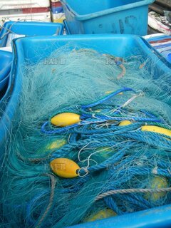 FISHING GEAR RIGGED READY TO GO 5.5 GILL NETS IN L & T BLUE BINS FOR SALE - ID:122651