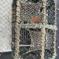 Thumbnail for picture 14