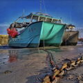 Thumbnail for picture 15