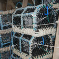 Retirement sale: Pots Nets Rope new coils Leadline Net Bins Anchors ice box etc - picture 3