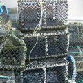 Retirement sale: Pots Nets Rope new coils Leadline Net Bins Anchors ice box etc - picture 6