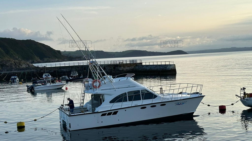 Large picture for advert 144655