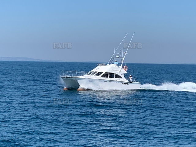 Large picture for advert 144655