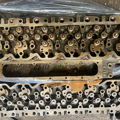 Thumbnail for picture 5