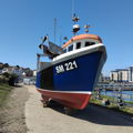 Thumbnail for picture 5