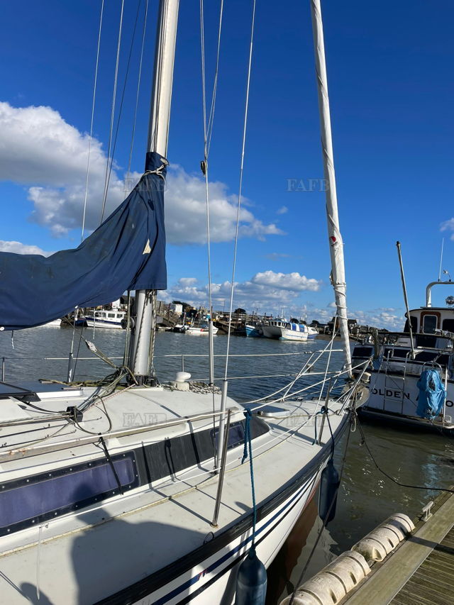 Large picture for advert 138660