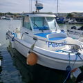Extra picture for advert 148661