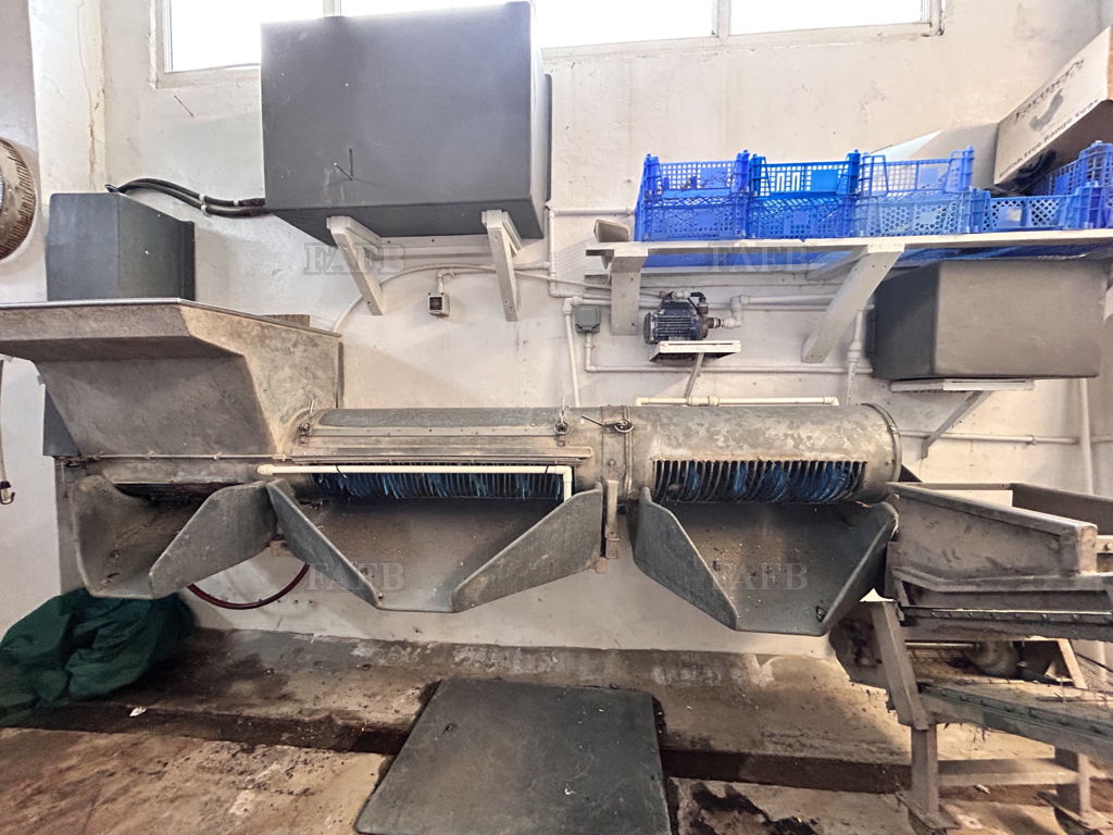 Shellfish Purification System