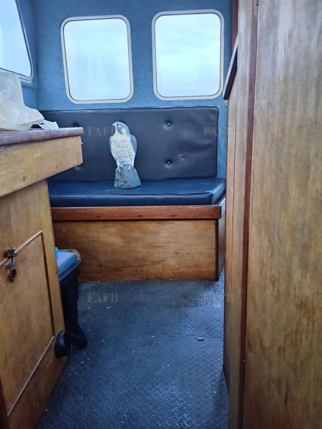 Large picture for advert 144662