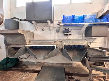 Shellfish Purification System