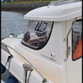Thumbnail for picture 9