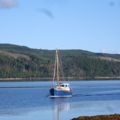 Thumbnail for picture 3