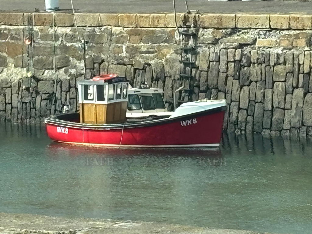 GM19