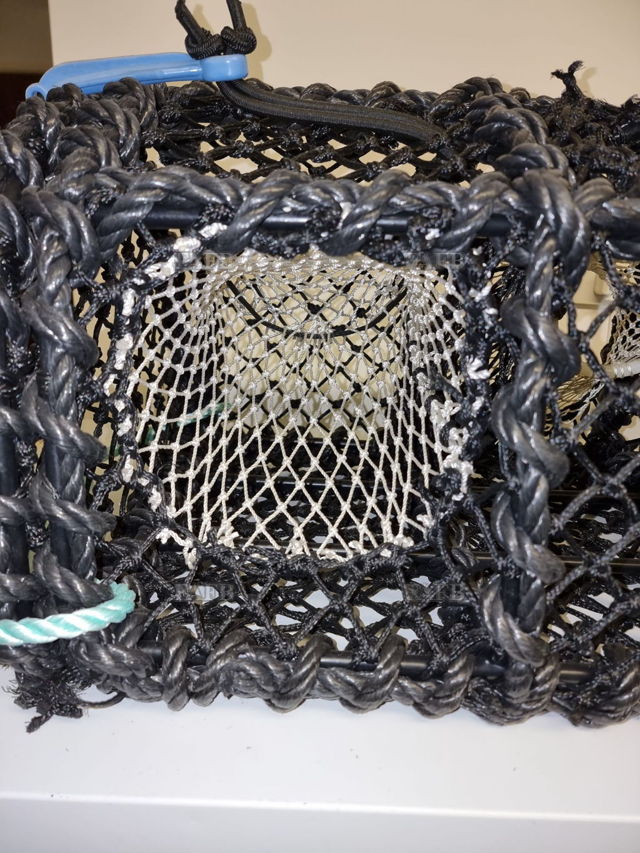 Large picture for advert 144663