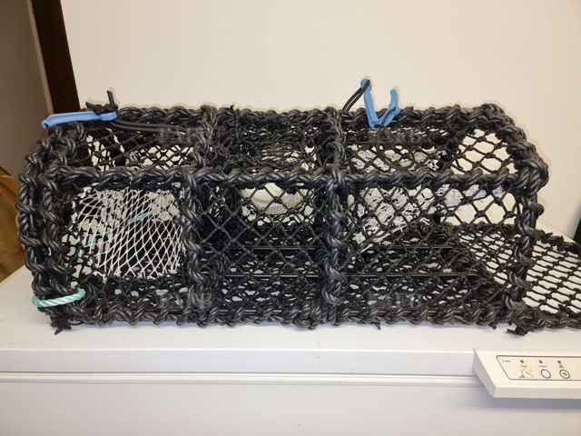 Large picture for advert 144663