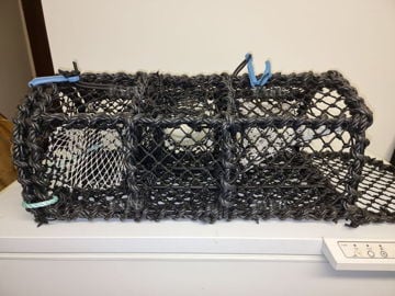 Velvet Medley Parlour Pots