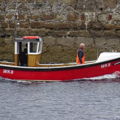 Thumbnail for picture 8
