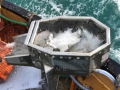Boat refit service, Net Drums, Fish washer, kort Nozzle - ID:47664