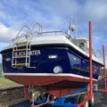Extra picture for advert 145664